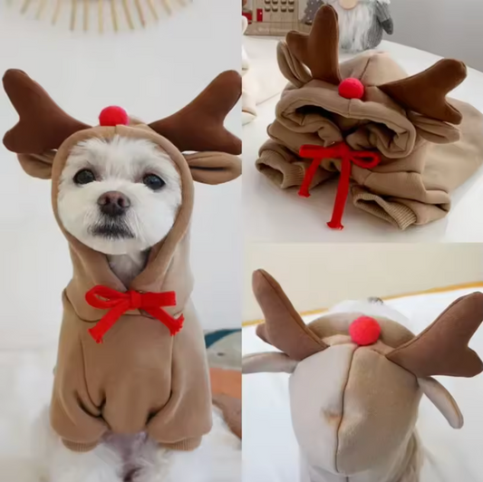 Reindeer Dog Costume